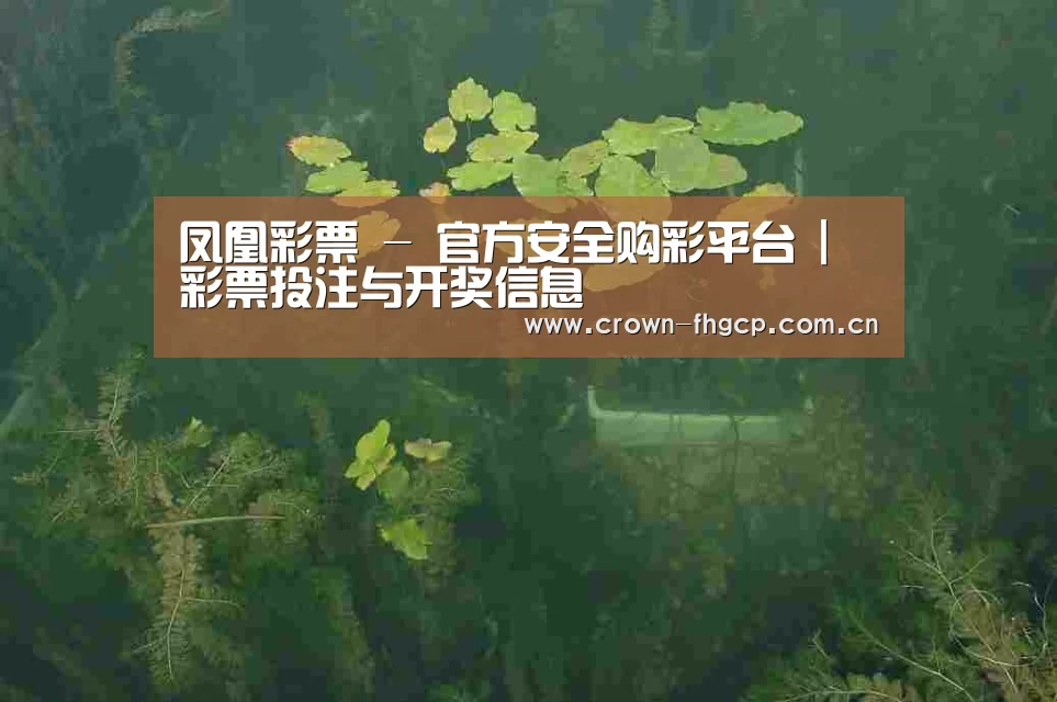 案例展示三