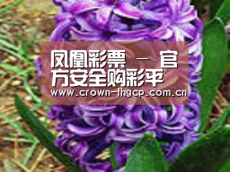 产品名称八