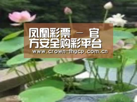 产品名称一