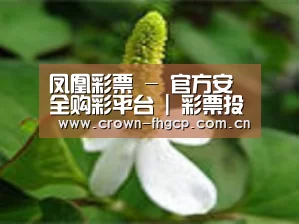 产品名称三