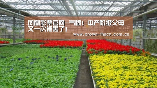 凤凰彩票官网-气愤!中产阶级父母又一次被黑了!(图2) 鳯凰彩票